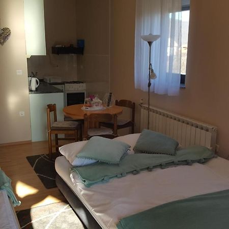 Studio Apartman Salopek Ogulin Luaran gambar