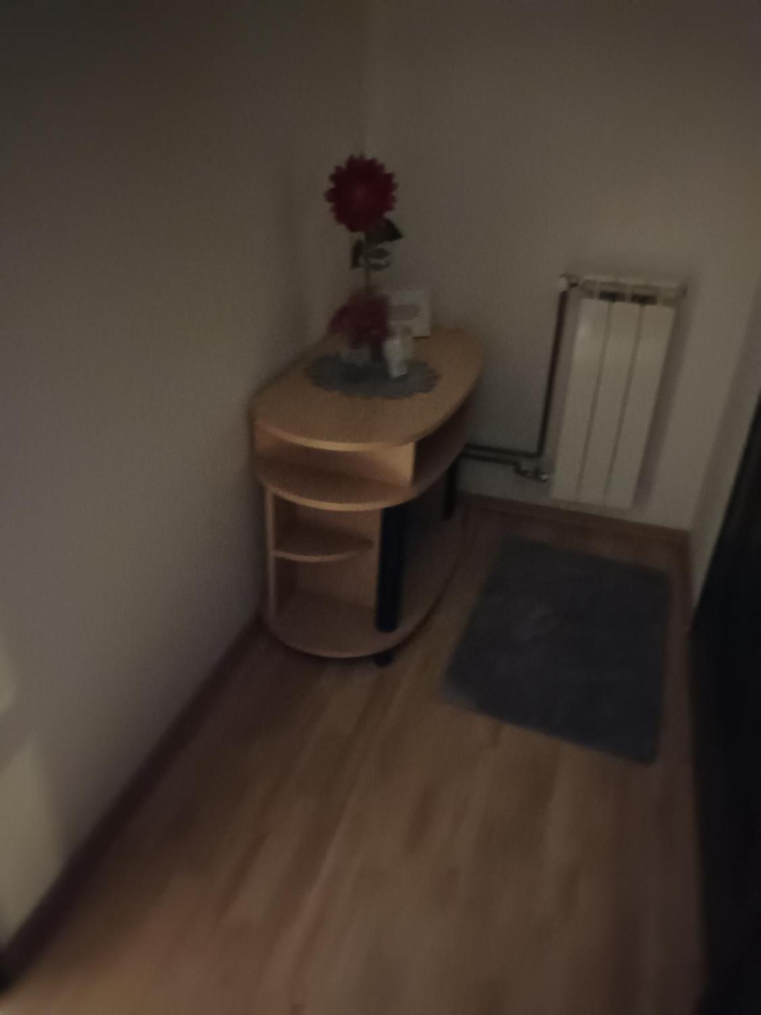 Studio Apartman Salopek Ogulin Luaran gambar